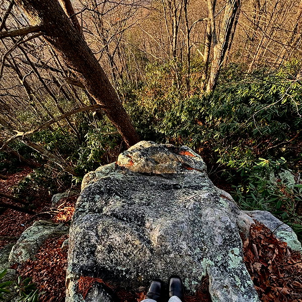 ehcico instagram image archive image