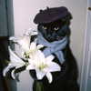 ehcico Altpins Profile Picture