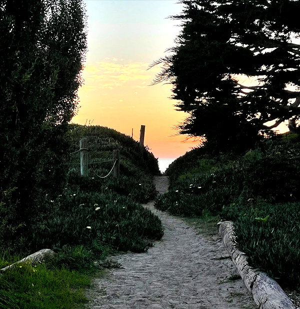 ehcico instagram image archive image