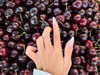 ehcico Altpins Profile Picture