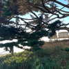 ehcico Altpins Profile Picture