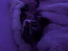 ehcico Altpins Profile Picture