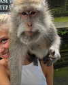 elena.zbt Altpins Profile Picture