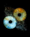 elena.zbt Altpins Profile Picture