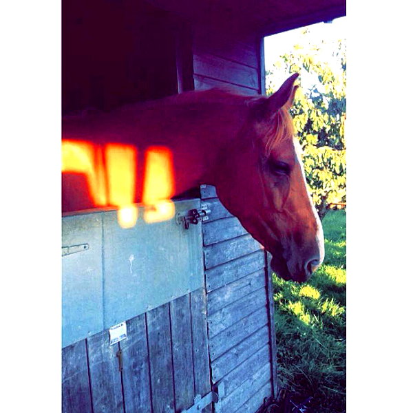 elena_blur instagram image archive image
