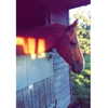 elena_blur Altpins Profile Picture