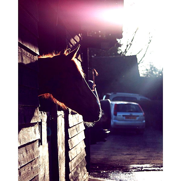 elena_blur instagram image archive image