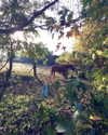 elena_blur Altpins Profile Picture