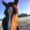 elena_blur Altpins Profile Picture