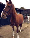 elena_blur Altpins Profile Picture