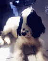 elena_blur Altpins Profile Picture