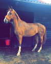 elena_blur Altpins Profile Picture