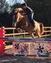 elena_blur Altpins Profile Picture