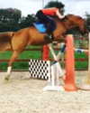 elena_blur Altpins Profile Picture