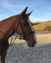 elena_blur Altpins Profile Picture