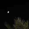 elena_wstt Altpins Profile Picture
