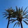 elena_wstt Altpins Profile Picture