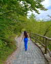eli_natan_ Altpins Profile Picture