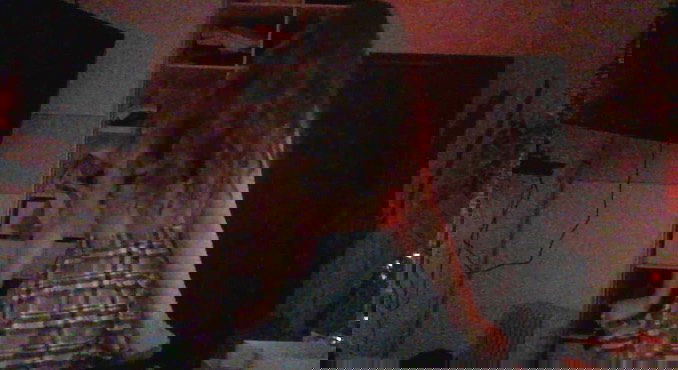 elianachetrit instagram image archive image