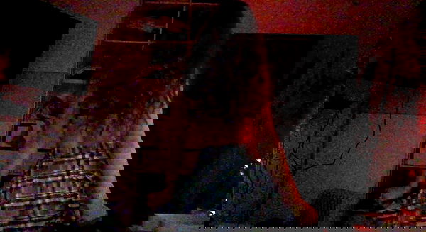 elianachetrit image ~ Altpins