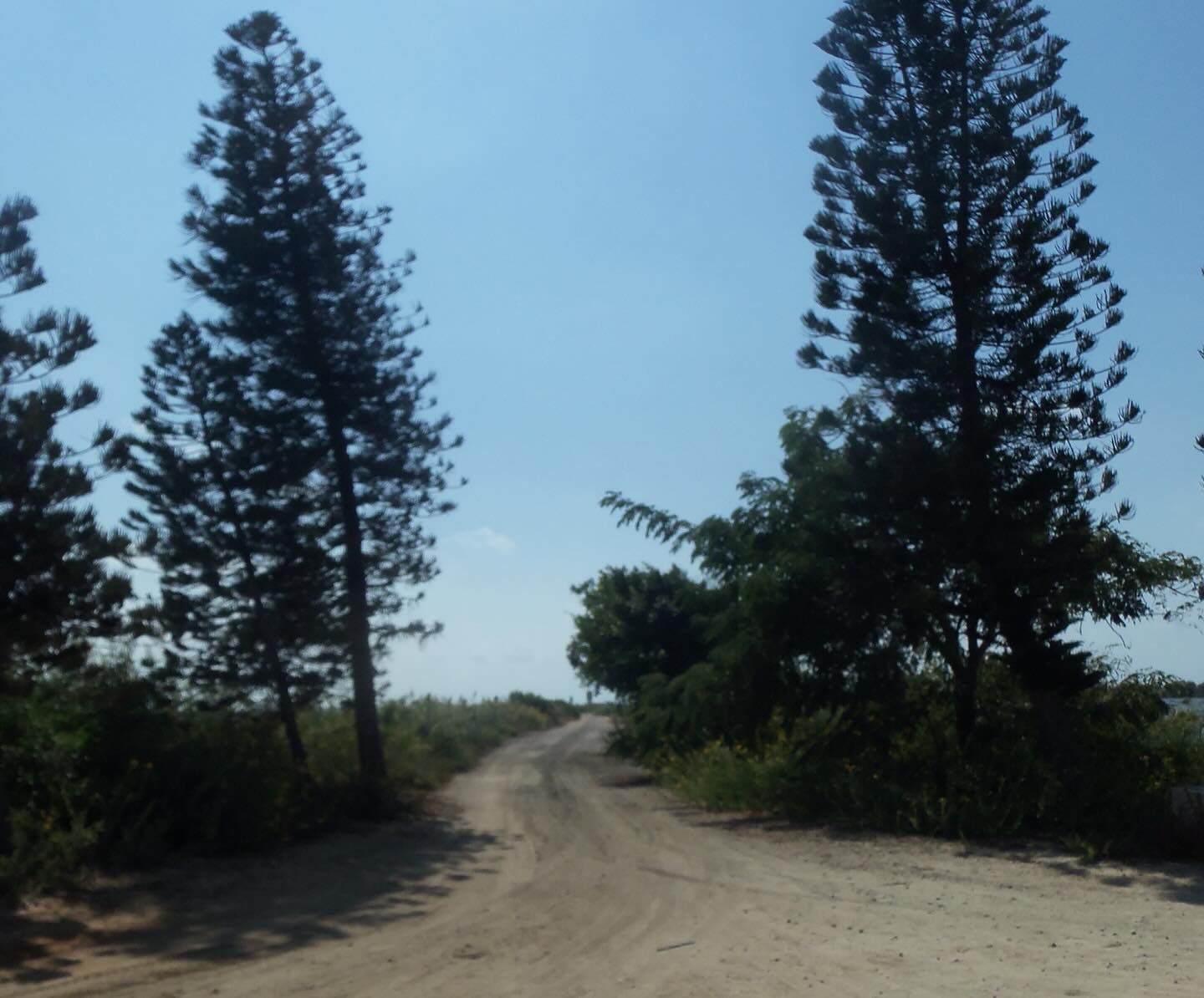 elianachetrit instagram image archive image