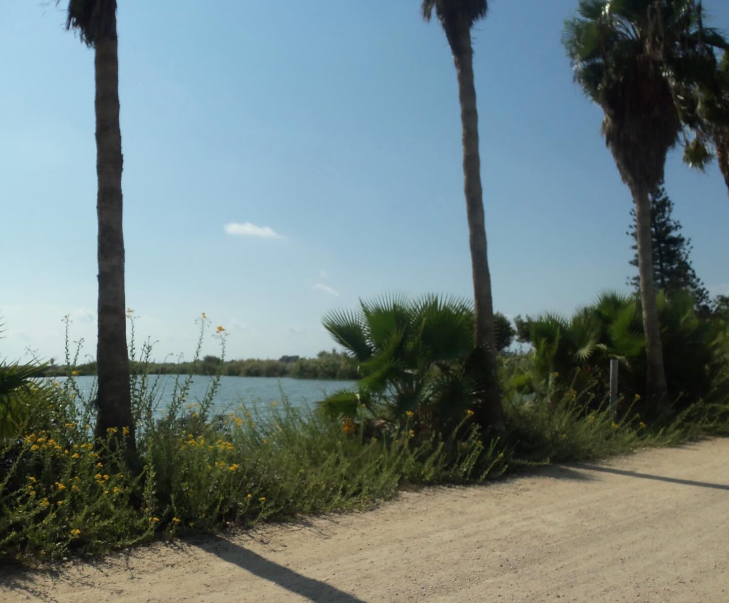 elianachetrit instagram image archive image