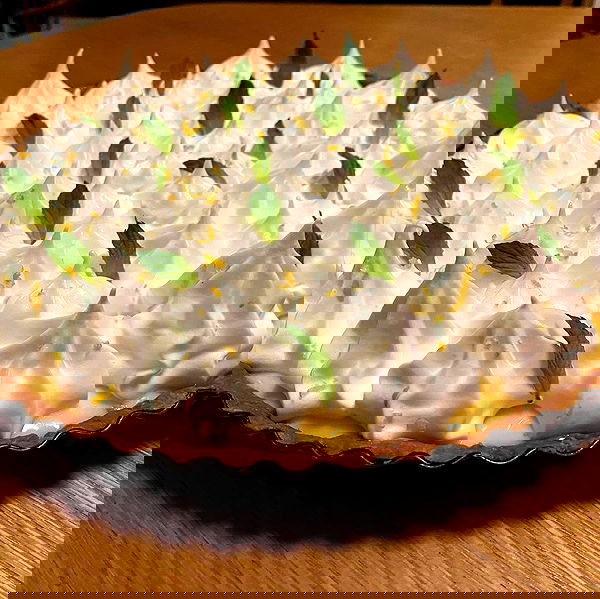 elianachetrit image ~ Altpins