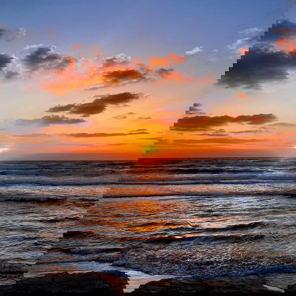 elianachetrit image ~ Altpins