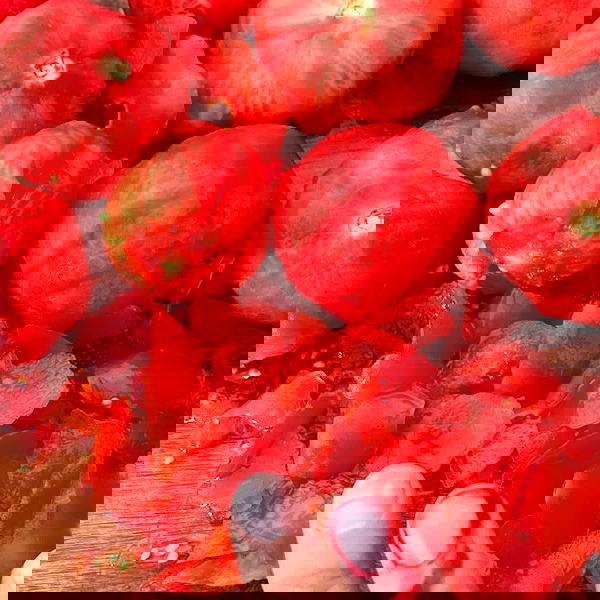 elianachetrit image ~ Altpins