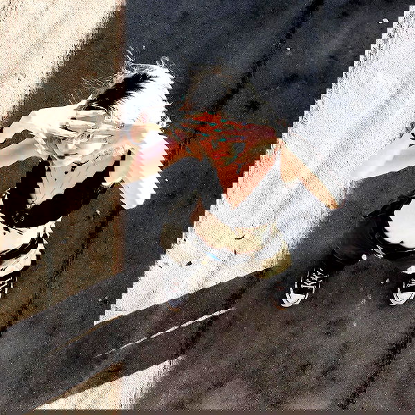 eliya.ho eliya.ho archive image