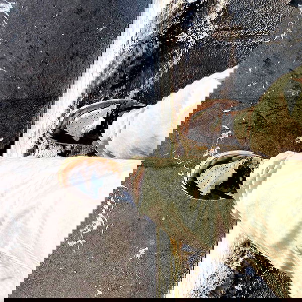 eliya.ho eliya.ho archive image