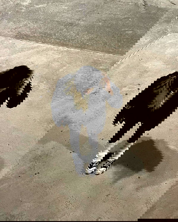 eliya.ho eliya.ho archive image