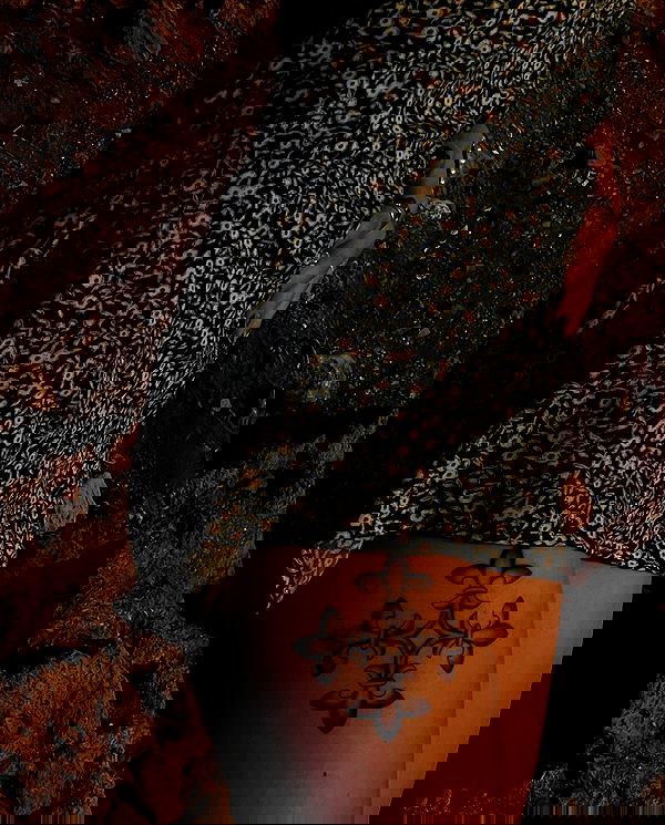 eliya.ho eliya.ho archive image