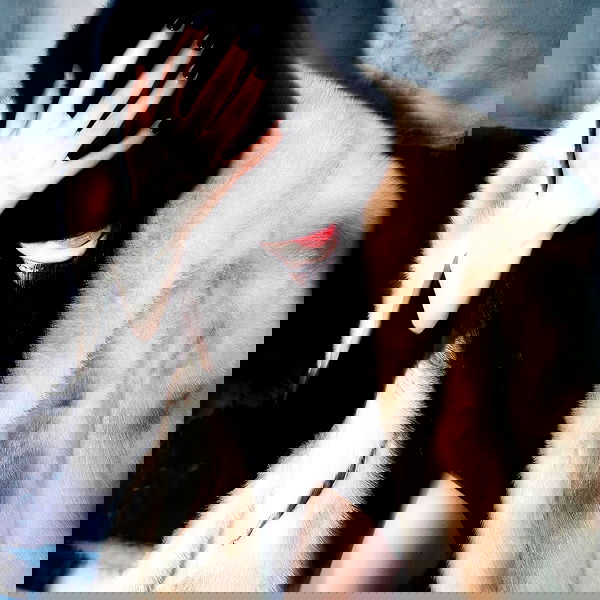 eliya.ho eliya.ho archive image