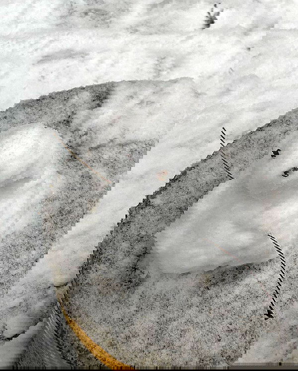 eliya.ho eliya.ho archive image