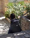 ella_loilta18.4 Altpins Profile Picture