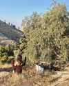 ella_loilta18.4 Altpins Profile Picture