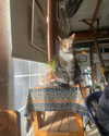 ella_loilta18.4 Altpins Profile Picture