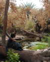 ella_loilta18.4 Altpins Profile Picture