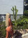 ellauk Altpins Profile Picture