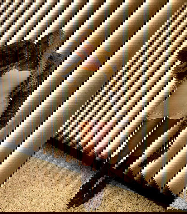 ellie.coldwell image ~ Altpins