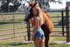 elliebluegregoria Altpins Profile Picture