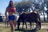elliebluegregoria Altpins Profile Picture