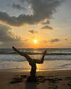 elliebluegregoria Altpins Profile Picture
