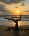 elliebluegregoria Altpins Profile Picture