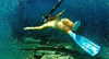 elliebluegregoria Altpins Profile Picture