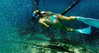 elliebluegregoria Altpins Profile Picture