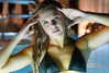 elliebluegregoria Altpins Profile Picture