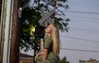 elliebluegregoria Altpins Profile Picture