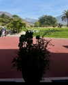 elliebluegregoria Altpins Profile Picture